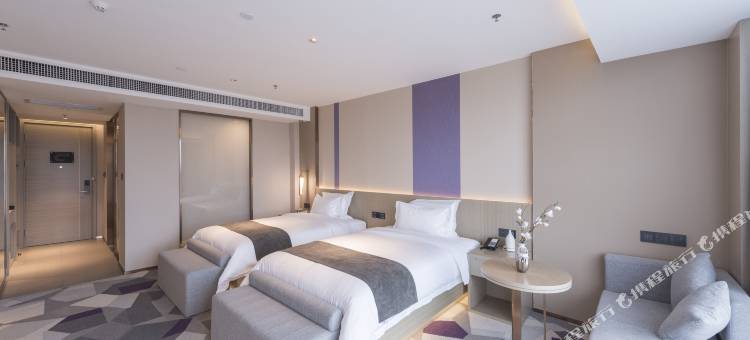 麗枫酒店(登封嵩山少林文旅服务中心店)图片