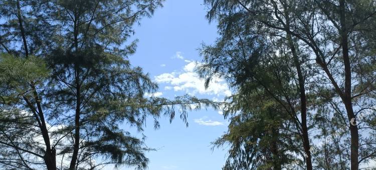 东兴启丰民宿图片