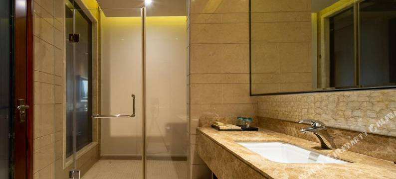 茂名海云雁酒店(中国第一滩店)图片