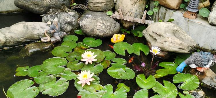 华安舒雅公寓图片