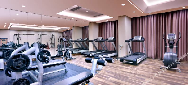 东莞业丰花园酒店图片