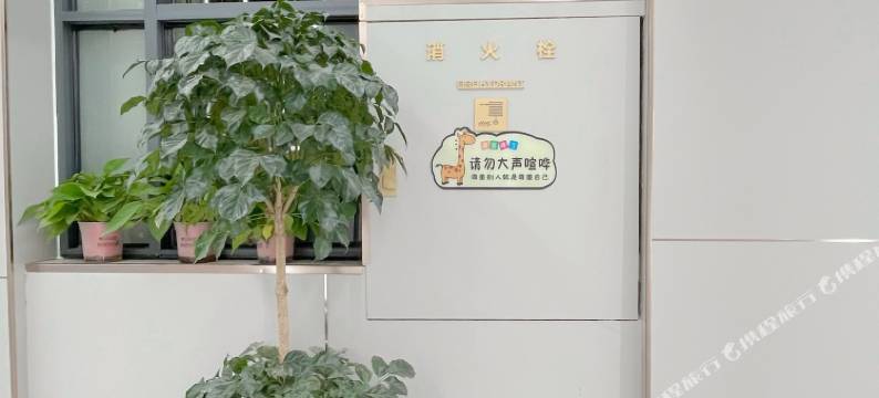 重庆都海智能酒店(观音桥步行街店)图片