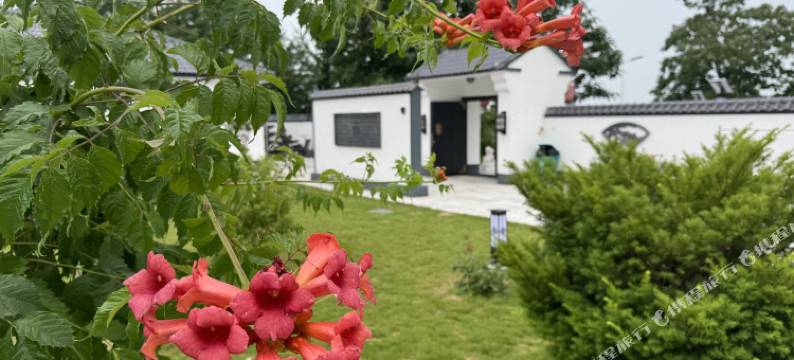 天奕文化旅游度假区图片