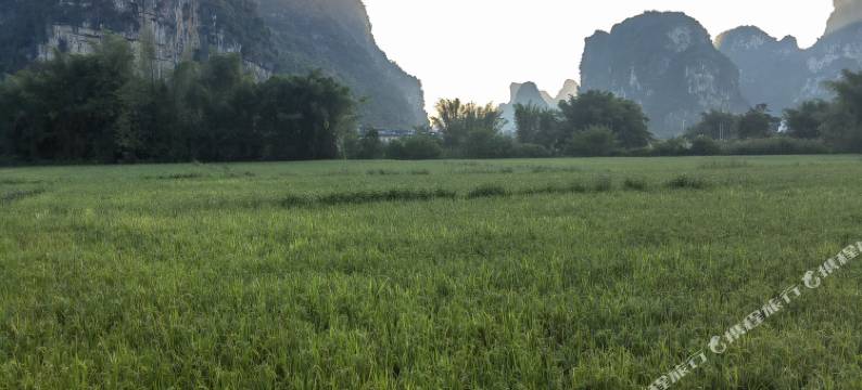 大新悠然阁民宿图片