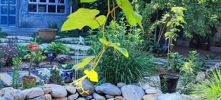 涞源有间客栈图片