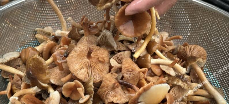 童家乐饭店图片