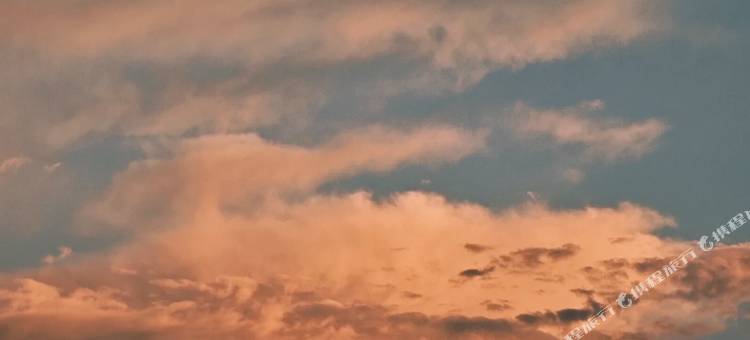 鑫盛精品酒店(萍乡北站萍乡市经济技术开发区武功山咨询中心店)图片