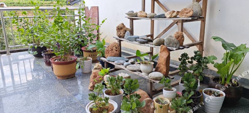 忆江南行摄之家民宿图片