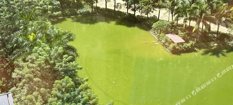阳光国际花园公寓(佛山千灯湖礌岗地铁站店)图片