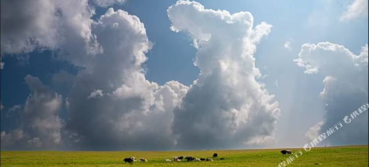 希拉穆仁草原游客中心图片