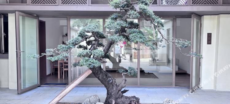雨打芭蕉花园别墅(西双版纳景洪市万科曼西缇店)图片