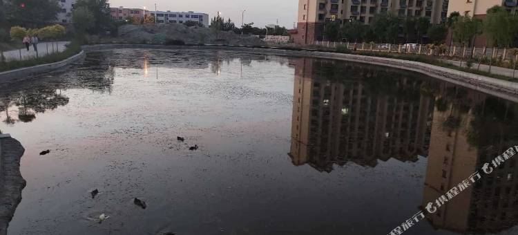 平罗惠融假日酒店(汇融新天地店)图片