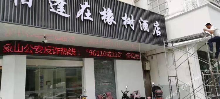 象山相逢在橡树酒店图片