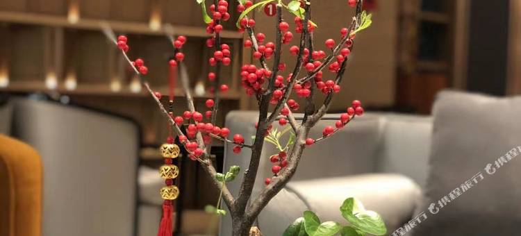 嵊州凯尔酒店图片