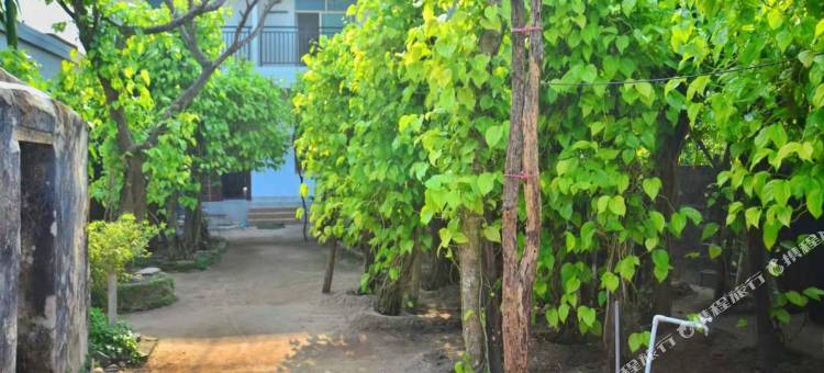 西岛海岛鱼夫民宿图片