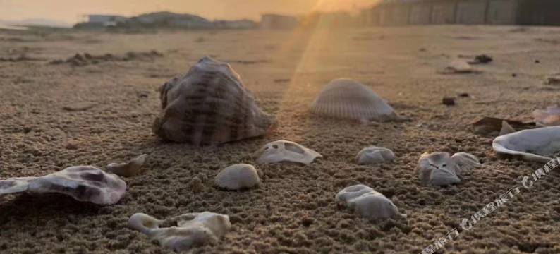 长海林阳酒店图片