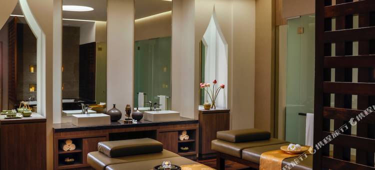 新加坡拉古娜都喜天丽酒店(Dusit Thani Laguna Singapore)图片