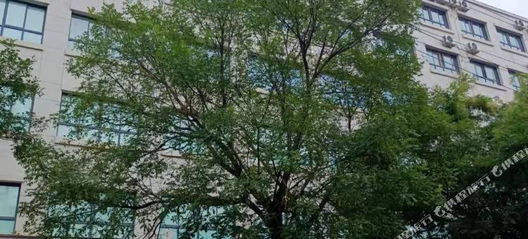 合水子午宾馆图片