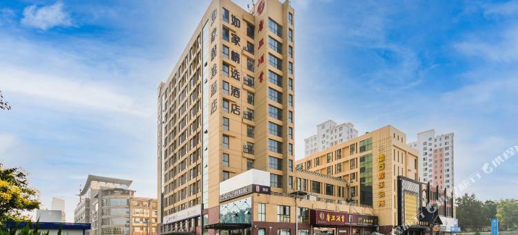 莫泰酒店(泰安泰山大街旭日大厦店)图片