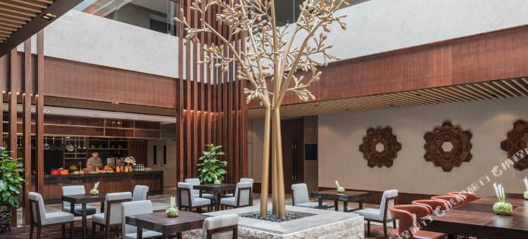 西安凯悦酒店图片