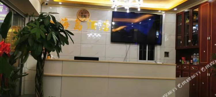 宁南金海岛酒店(白鹤滩镇店)图片