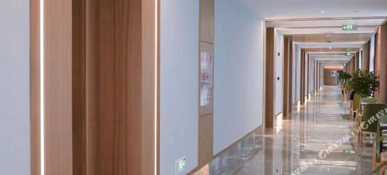 维西嘉园精品酒店图片