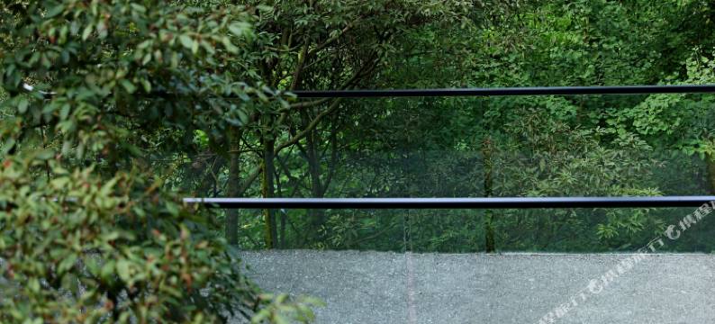 青城山山色森林私汤酒店图片