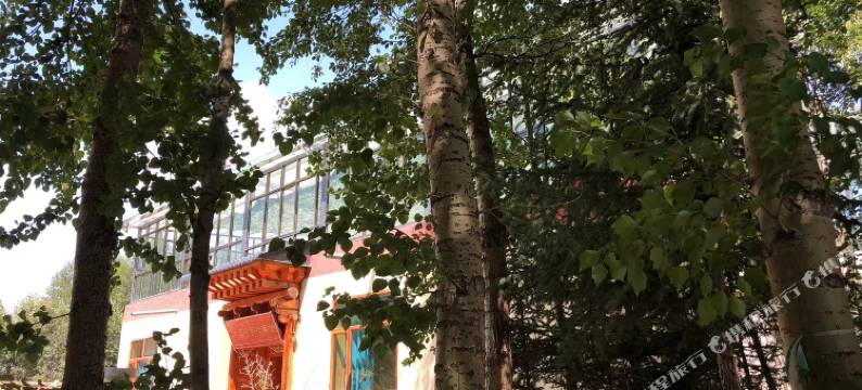 才旦仓民宿(切浪道店)图片