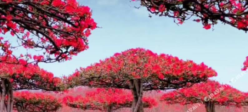 一夕·宿里精品民宿图片