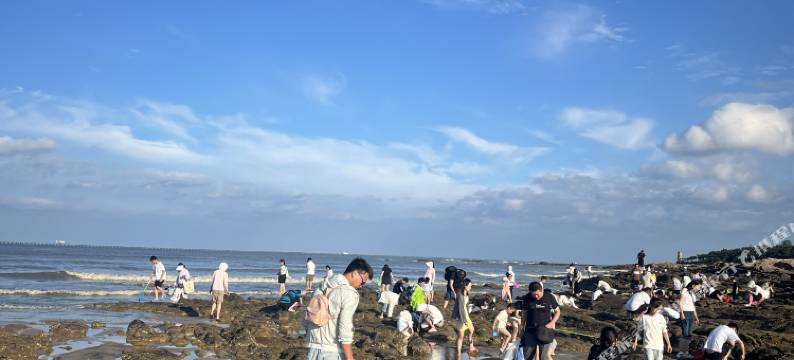 守春民宿(日照海滨国家森林公园店)图片