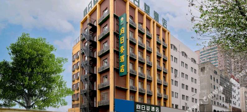 哈尔滨向日葵酒店(中央大街索菲亚教堂店)图片