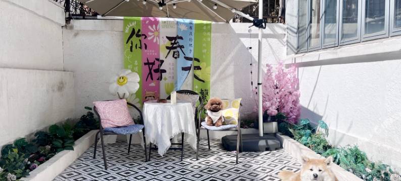 上海ZigHouse之宿·老洋房艺术民宿图片