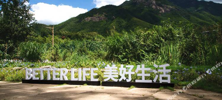 美好生活民宿图片