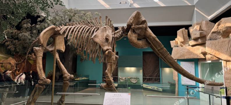 艺龙瑞云酒店(兰州中山桥西关地铁站店)图片