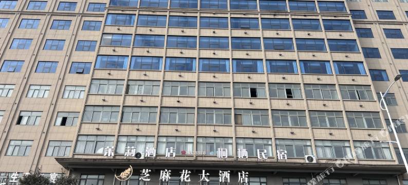 茉莉花大酒店图片