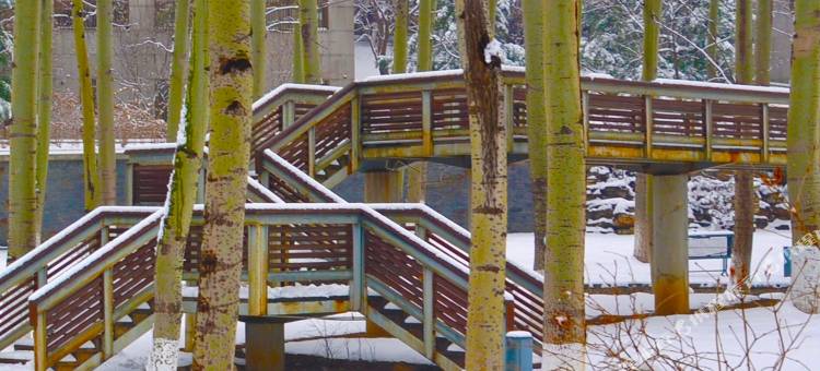 北京中信金陵酒店图片