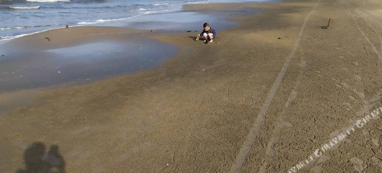 海口金州海旅租图片