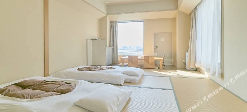 大阪天保山海鸥酒店(Hotel Seagull Tenpozan Osaka)图片