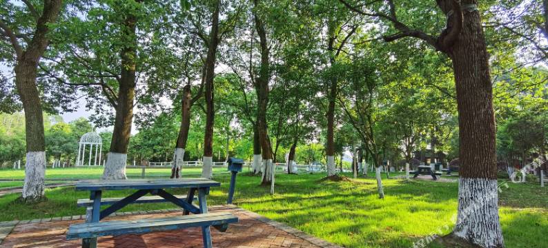 鹿溪园度假酒店(四川大学华西医院锦城医院黄龙溪镇店)图片