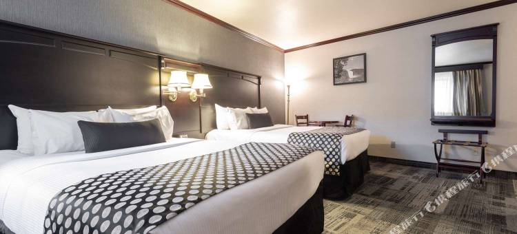 魁北克城中心贝斯特韦斯特优质酒店(Best Western Plus City Centre/Centre-Ville)图片