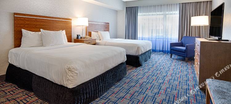 芝加哥奥黑尔罗斯蒙特希尔顿安泊酒店(Embassy Suites by Hilton Chicago O'Hare Rosemont)图片