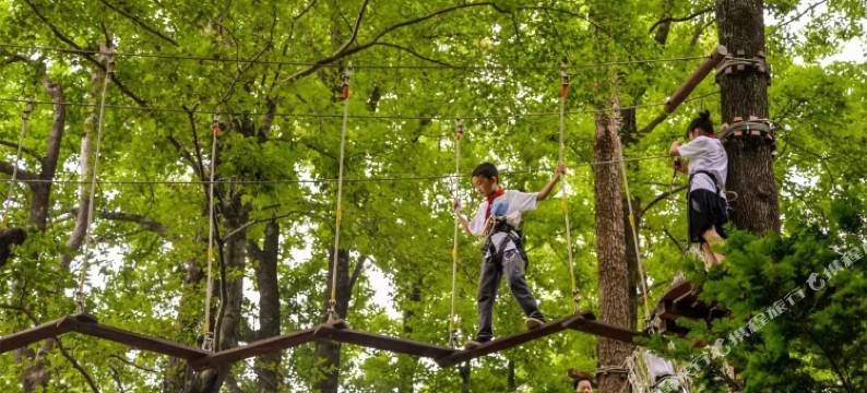篁岭天街酒店(篁岭景区店)图片