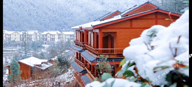 巴山大峡谷云顶森林度假酒店图片