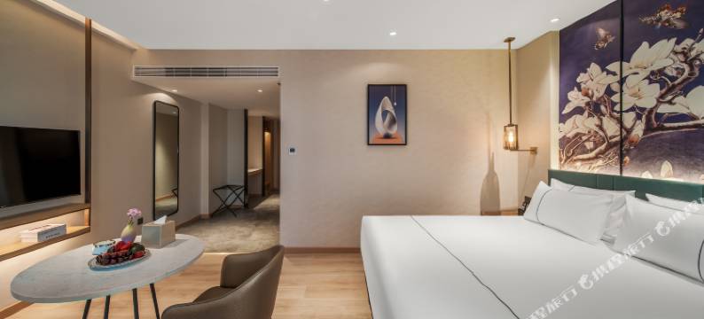 锦江白玉兰酒店(贵阳观山湖会展城市政府店)图片