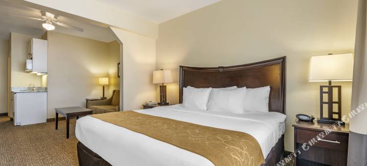 东铭基舒适套房酒店(Comfort Suites Maingate East)图片