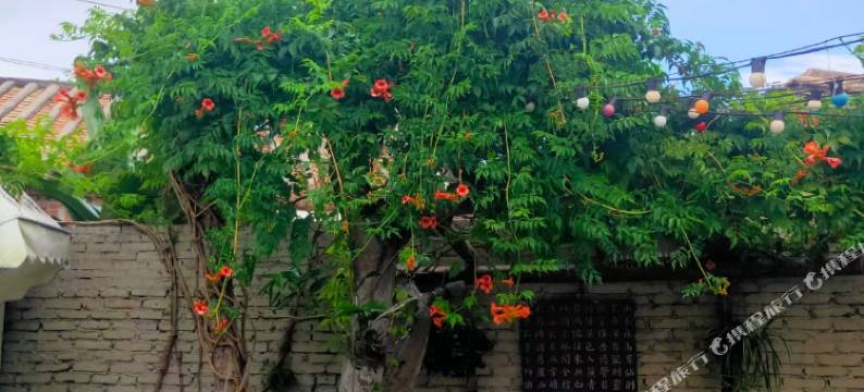 北海暮年小院(流下村店)图片