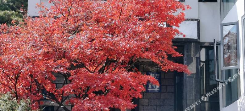 庐山新世纪宾馆图片