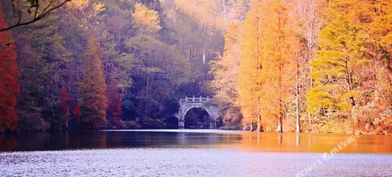 清心幽舍民宿(南岳衡山风景区店)图片