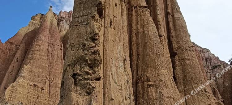 元谋新胜大酒店(发祥路分店)图片