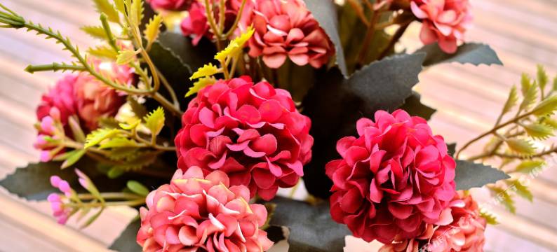 花筑北戴河MeToo设计公寓(刘庄夜市鸽子窝公园店)图片